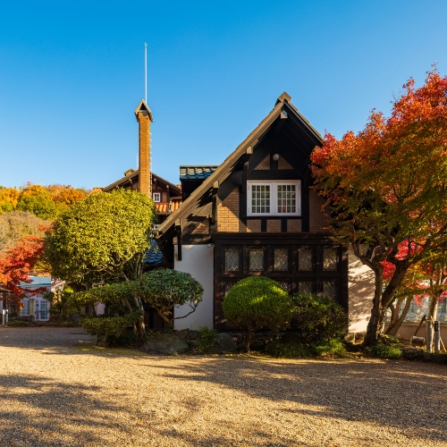 【美術館の楽しみ方】大山崎山荘美術館で秋の紅葉と芸術を楽しむ！