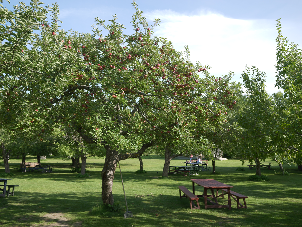 【北欧は、食べて、旅する】第2回 SDGs先進国のアップサイクルな食事情