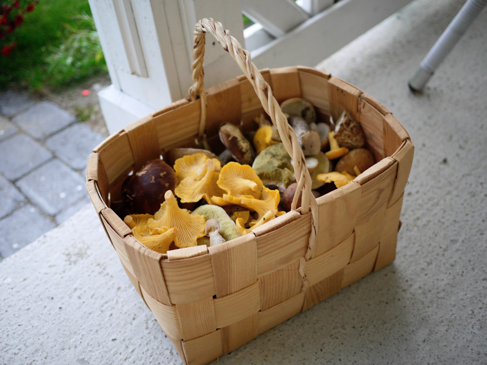 秋の味覚といえばキノコ